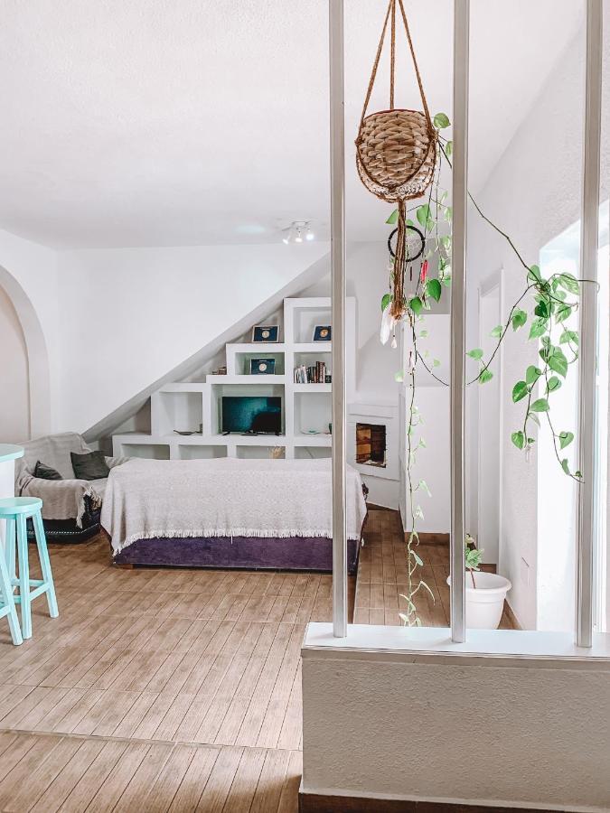 Greentree House コラレホ エクステリア 写真