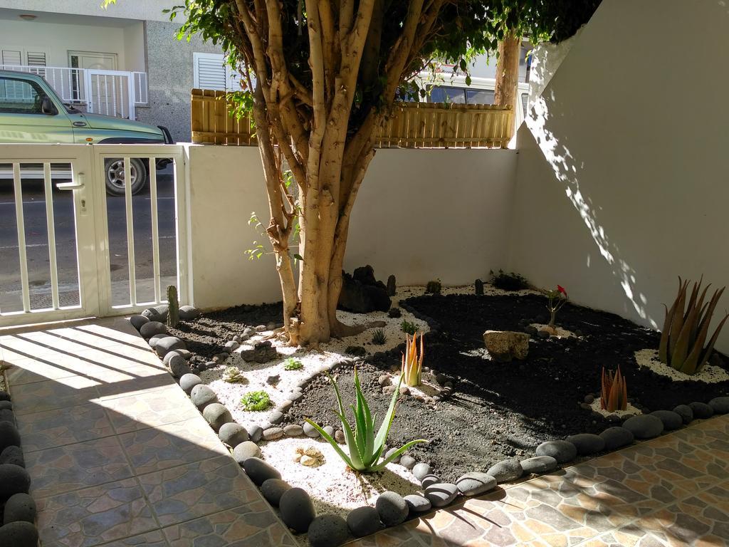 Greentree House コラレホ エクステリア 写真