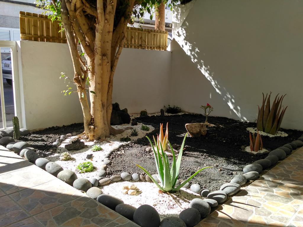 Greentree House コラレホ エクステリア 写真